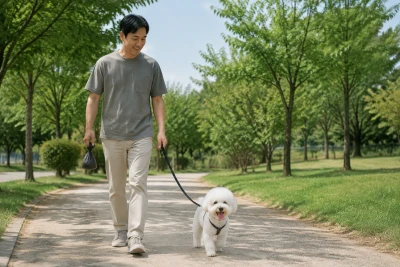 고양이 헤어볼과 장 건강 실천 방법 안내