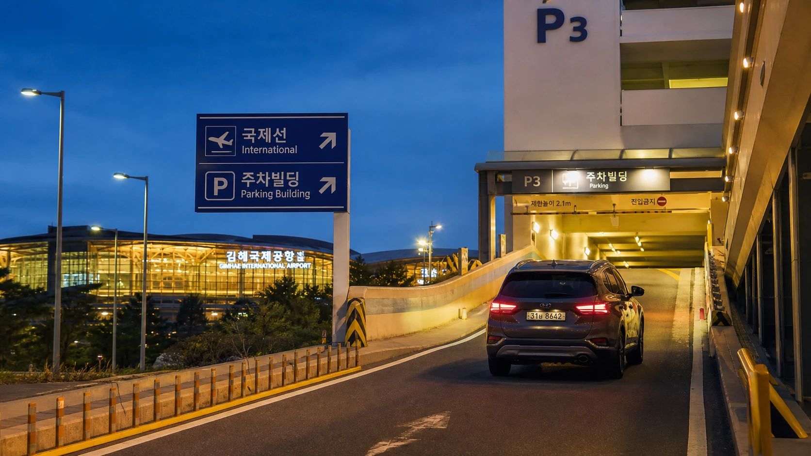 사료와 유산균 함께 먹이는 ...